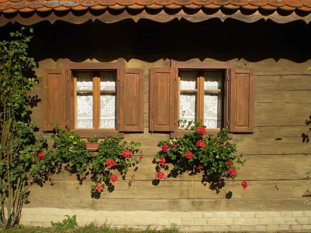 Apartments Iza Na Trem Čigoč Εξωτερικό φωτογραφία