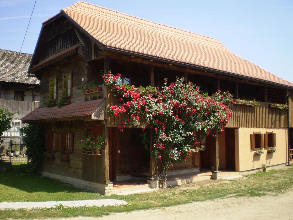 Apartments Iza Na Trem Čigoč Εξωτερικό φωτογραφία